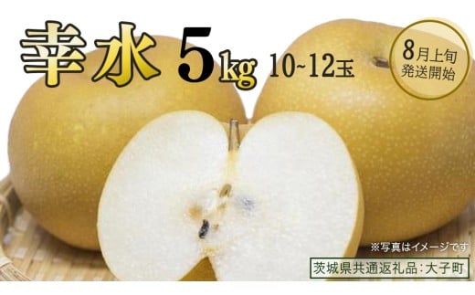 y錧vszK 5kg (10`12)y2026N8{Jnz(錧ʕԗiFq)  Ȃ ʕ  t[c