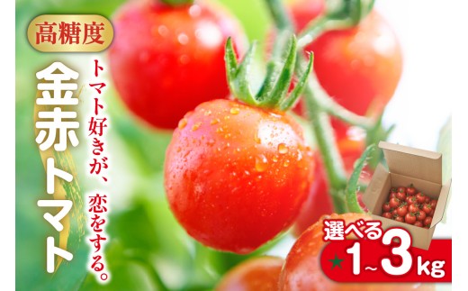 ym튊szg}gDAB 1`3kg ԃg}g~j [Iׂe] ԃg}g~j  VN Ė {  ~jg}g v`g}g t[c g}g Y Z