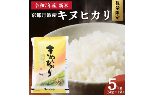 ys{Osz[5334-0701]ߘa7NY V sOgY LkqJ 5kg ʌLy[ |   R 