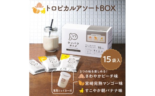 y啪Îsz^pNIg 15HZbg ^Cv(3×e5) gsJA\[gBOX | A\[g veC \CveC zGCveC  veC e veC ve