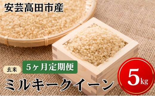 yL|csz[5895-0264] y5͂zߘa7NY@|csY~L[NC[wāx5kg  