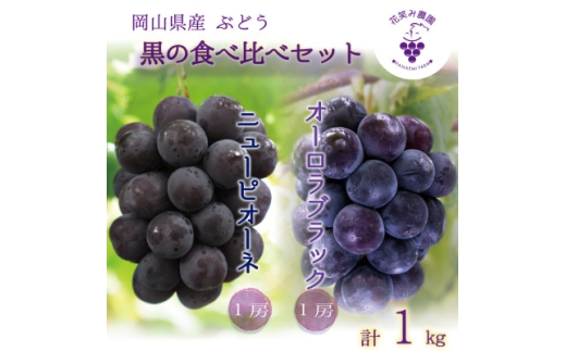 yRÎRsz2026NstR@ԏ΂ݔ_́wj[sI[l&I[ubNx1kg(2[)@PA-1y1627767z