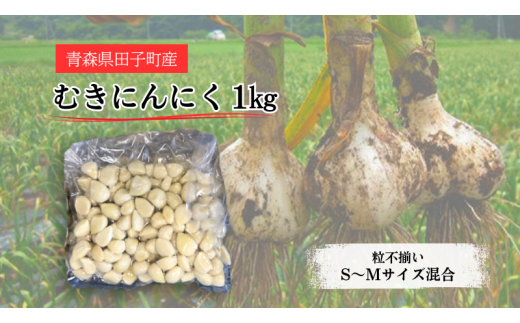 yXcqzXcqY ނɂɂ1kg(S`MTCY)Ɩp