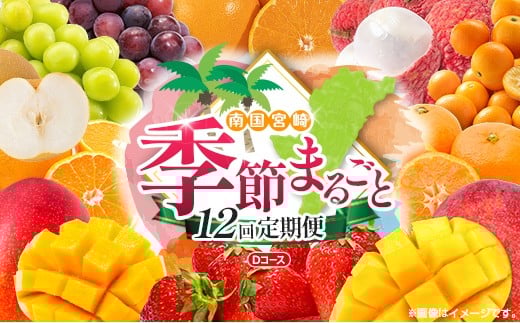 y{茧zy12ցz{ lC t[c 썑{Y }S[ C` ܂܃GNZg VC}XJbg sI[l  ݂  k z̃^}S 񂩂 ܂ 