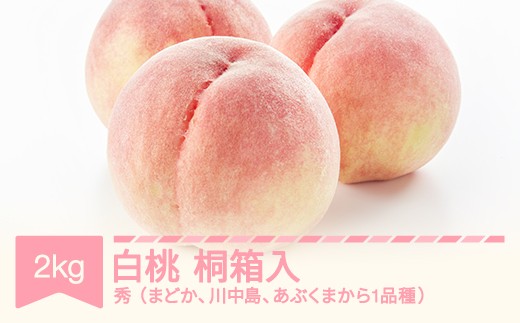 yR`Rszys\z G ˔   i킨܂ 2kg ߘa8NY 2026NY ʕ Eւ̔zs  mm-moomk2000