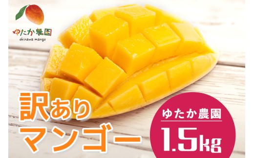 yꌧszyAzys\ 2026N z䂽_ Yn ꌧY 󂠂 }S[ 1.5kg n A Abv}S[ A[EB}S[ 1.5L 󂠂}S[ KiO B