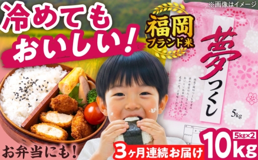 ygxzyS3ցzyߘa7NxYzV  10kg  LЃt@C[RN/gx [BGBV005]