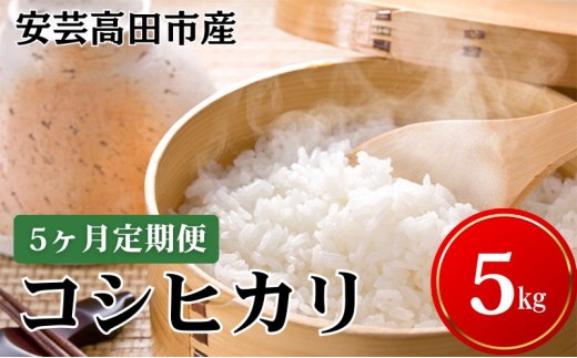 yL|csz[5895-0200] y5͂zߘa7NY@|csYRVqJ5kg ā^RVqJ  Ђ 