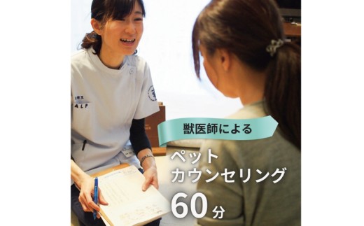 y_ސ쌧szybgJEZO 60\  ybg ؂   b JEZO 񂹂 Y k PA I[_[Ch AhoCX   L ˂ ET