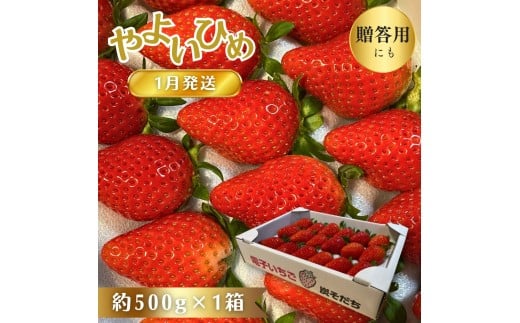 ytX䒬zy1z 悢Ђ p  dq C`S ؂ X䒬 Y 悢P  500g × P Mtg n nC`S