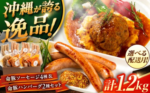 yꌧszy2026N3z w؃\[Z[W4큕؃no[O2Zbgx ؓ no[O \[Z[W lߍ킹  Y Mtg Ⓚ s / DELICATESSEN NUCHIBUTA[BCAR002-3