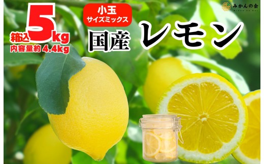 ya̎RLc쒬z  Y 5kg(eʖ4.4kg) Gi S M L TCY~bNX a̎RLcY ỷ݂z