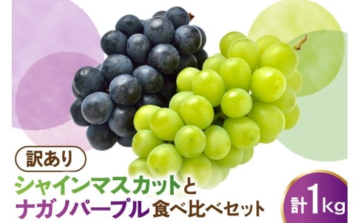 yR`đszys\z ߘa8NY 󂠂 VC}XJbg iKmp[v Hה Zbg 1kg 2026N9{`͂\