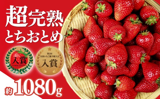 yȖ،Ζؒz uΖ؊nv1񂢂I茠 ƂƂ M[TCY 270g×4pbN v 1080gy1{ȍ~z|  C`S   ƂƂ Xgx