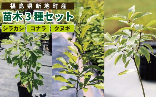 yVnzVnY c؂RZbgiVJVERiENkMj |  c lC   R ~ 炩 Ȃ ʂ    Vn   Jug