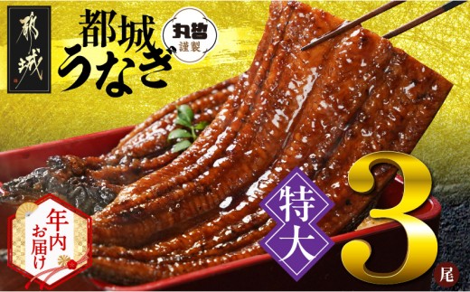 y{茧sszyN͂z{茧炿́yzȂ3680gȏREt2025N1215`31͂_24-M301-HNY_(ss) 傤Ȃ(L) {茧Y ^ RE