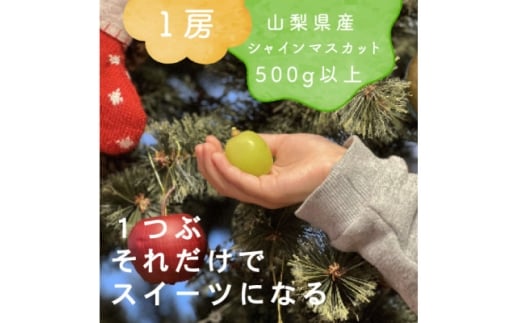 yRRszN~ɐHׂ VC}XJbg 1[(500gȏ)RYy1560605z