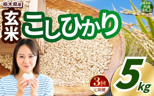 yȖ،^szy3z_Ƃ񉞉āI ߘa7NxY  5kg Ђ |  ^sY       ͂  RVqJ  ӂ邳Ɣ[ s \ 