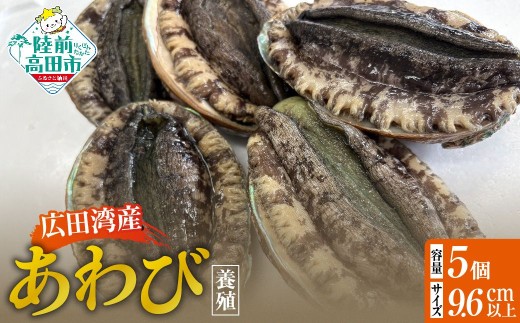 y茧OcszLcpY {B 5Zbg ( k 9.5cm` )y Ar   ①  NNn  lC z RT3189-5