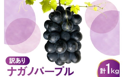 yR`đszys\z ߘa8NY 󂠂 Ԃǂ iKmp[v 1kg 2026N9{`͂\