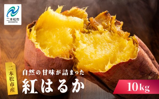 y{szR̊Â݂Ƌl܂ ܂  g͂邩 10kg Ă XC[c Ⓚ ₫  Tc}C _ƒ VN  C   Ε Mtg {