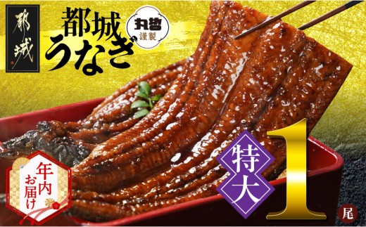 y{茧sszyN͂z{茧炿́yzȂ1210gȏREt2025N1215`31͂_LG-M301-HNY_(ss) 傤Ȃ(L) {茧Y ^ RE