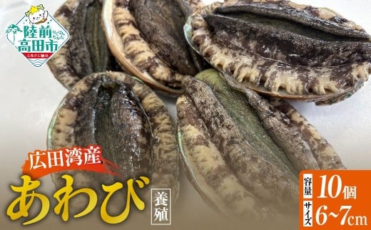 y茧OcszLcpY {B 10Zbg ( k 6cm`7cm )y Ar   ①  NNn  lC z RT3189-10