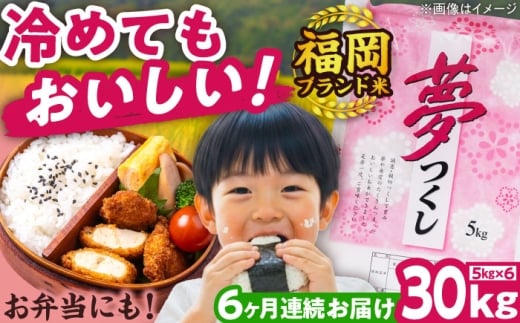 ygxzyS6ցzyߘa7NxYzV  30kg  LЃt@C[RN/gx [BGBV012]