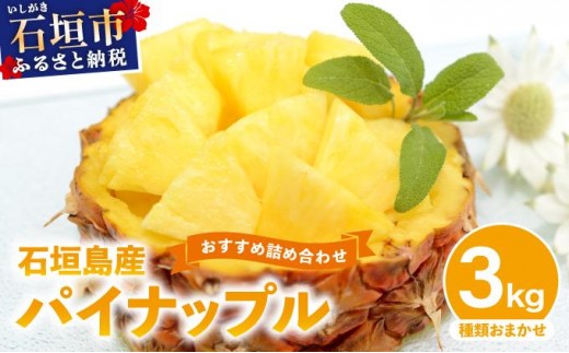 yꌧΊ_szΊ_YpCibv 2`6 3kg s2026N4{t | ӂ邳Ɣ[ pCibv Yn t[c ʕ ꌧΊ_s Ί_  Ί_s Ί_ KP-14