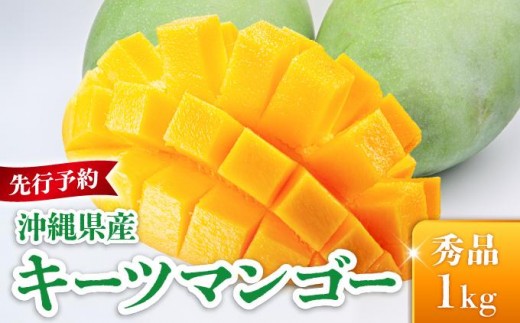 yꌧszs\Eʌ聄L[c}S[ Gii1kgjKM009