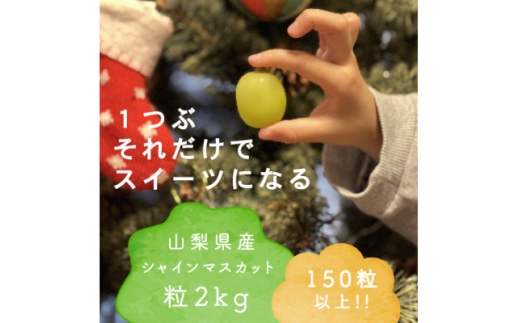 yRRszN~ɐHׂ VC}XJbg  (2kgȏ) RYy1560612z