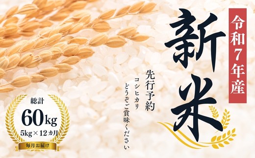 yszNo.2498yߘaVNYVā@s\z啶čXy12zRVqJ 5kg āi͂j