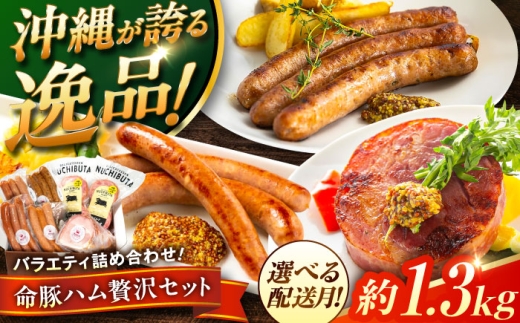 yꌧszy2026N2z wnґZbgx ؓ |[NXe[L \[Z[W n lߍ킹  Y Mtg Ⓚ s / DELICATESSEN NUCHIBUTA[BCAR007-2]