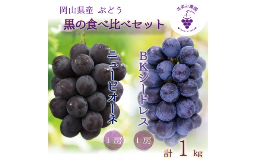 yRÎRsz2026NstR@ԏ΂ݔ_́wj[sI[l&BKV[hXx1kg(2[)PB-1y1627765z