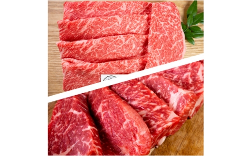 yɌqz_˃r[tԐgXCX350gԐgēp350gv700g(EfE)@ɌYy1131673z