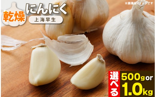 ygszɂɂ  Y 500g 1kg Iׂe ɂɂ ys\z H ֗ jjN X[v  L ۑH N NHi 퉷ۑ ֗H y Z 