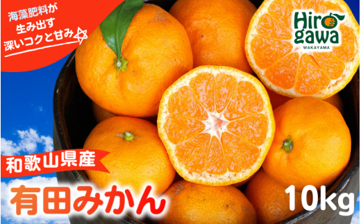 ya̎RL쒬za̎R̗Lc݂ 10kg / B݂ Lc݂ Â k a̎R 11{`N1{ɏ\ yaii004-r-10Az