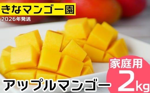 yꌧsz2026Nyȃ}S[zAbv}S[@ƒp2kgȏ s\ n }S[ Abv 썑  t[c  ʕ ʎ s\ Yn ґ Z XC