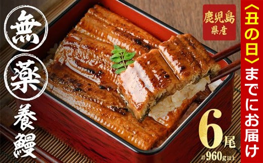 yuzuszyN̓܂łɔzzy{Vz Y RĉȂ v960gȏい (160gȏ×6) Ȃ V EiM  {V  6 Y BY Ă ΂₫ Ⓚ 