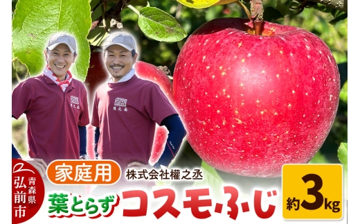 yXOOsz ܔV tƂ炸 RXӂ ƒp 3kgyOOsYEX񂲁z