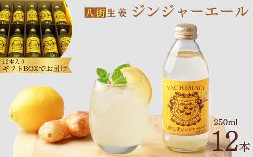 ytXsz_ Mtgɂ ^ l  h WW[G[ 250ml × 12{ p Mtg Mtgp XY I 傤 X W[X WW[ r r Zbg