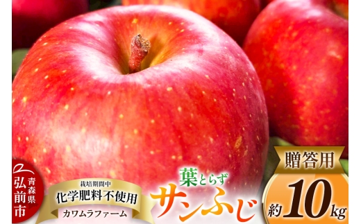 yXOOsz tƂ炸 Tӂ 10kg Jt@[ p X ʕ t[c ь S 