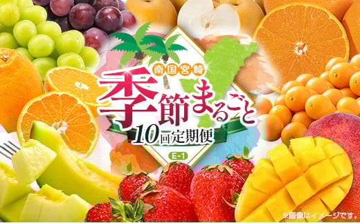 y{茧zy10ցz{ lC t[c 썑{Y z̃^}S ܂܃GNZg VC}XJbg sI[l  ݂   k }S[ 񂩂 ܂ 