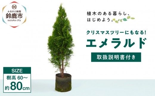 yOd鎭szNX}Xc[ɂȂGh@70cm`90cm@戵t