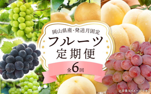 yRÎRszŒցRY t[c֑S6y4075036z