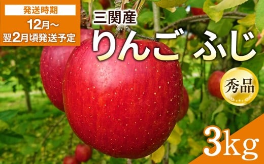 yHcszO֎Y  ӂ Gi 3kg Hc s nY ʕ t[c ьyO։ʎz[L15102]