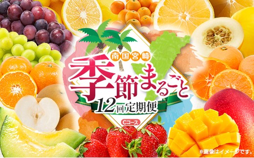 y{茧zy12ցz{ lC t[c 썑{Y }S[ ܂ VC}XJbg sI[l  ݂    k 񂩂 Ԃǂ ʕ lߍ킹 {茧