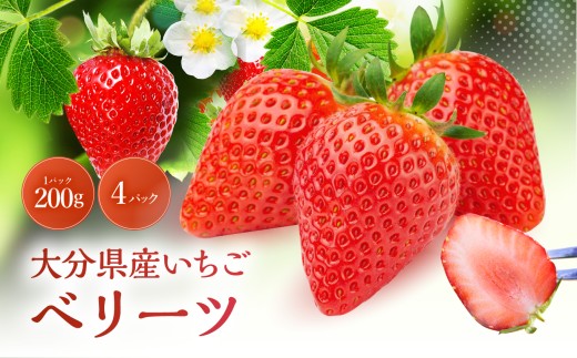 大分県ブランド いちご ベリーツ 約 800g ( 200g×4パック ) | 苺