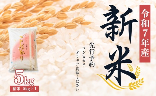 新米コシヒカリ精米済 No.2382大文字屋米穀店【令和7年産】コシヒカリ精米 5kg - 福島県福島