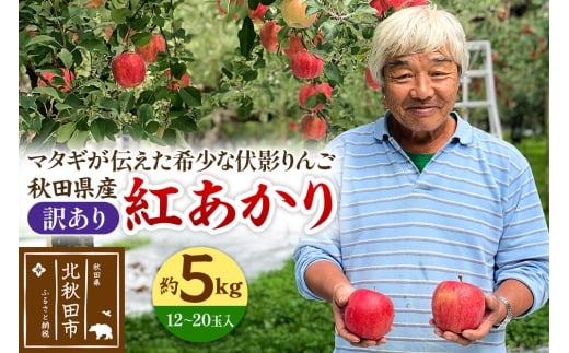 yHckHcsz gi󂠂j5kg (12`20ʓ) ɓ́ue񂲁v ߘa7NY HcY  S }^M̂